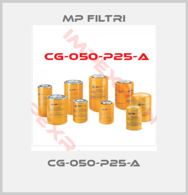 MP Filtri-CG-050-P25-A