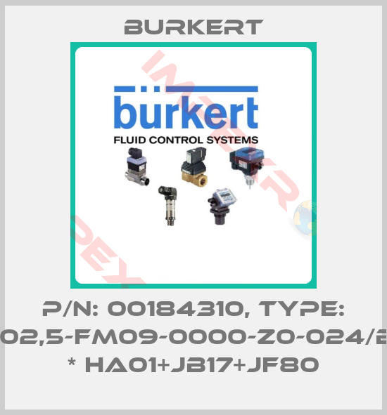 Burkert-P/N: 00184310, Type: 6511-H02,5-FM09-0000-Z0-024/BA-AA * HA01+JB17+JF80
