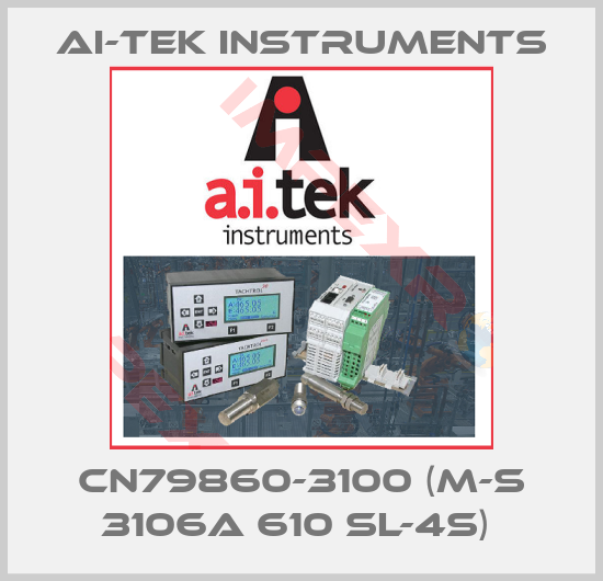 AI-Tek Instruments-CN79860-3100 (M-S 3106A 610 SL-4S) 