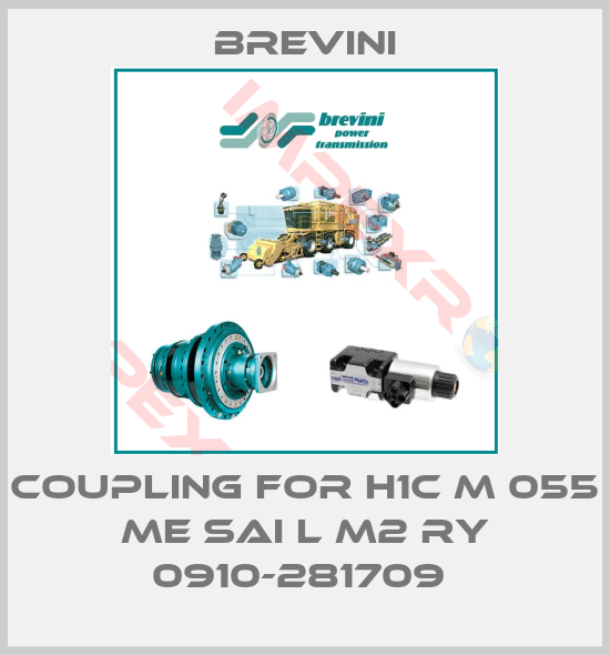 Brevini-COUPLING FOR H1C M 055 ME SAI L M2 RY 0910-281709 