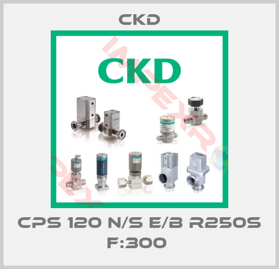 Ckd-CPS 120 N/S E/B R250S F:300 