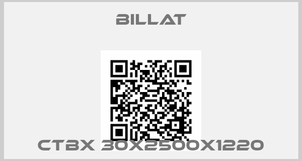 Billat-CTBX 30X2500X1220