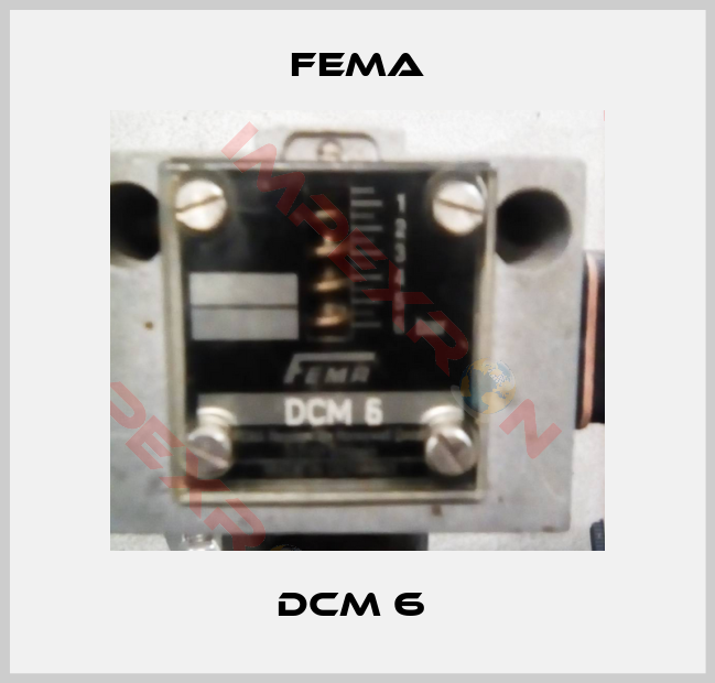 FEMA-DCM 6 