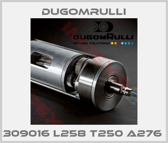 Dugomrulli-309016 L258 T250 A276 