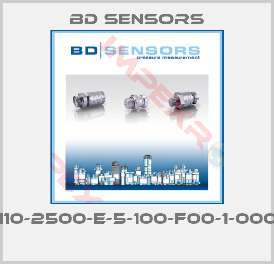 Bd Sensors-110-2500-E-5-100-F00-1-000 