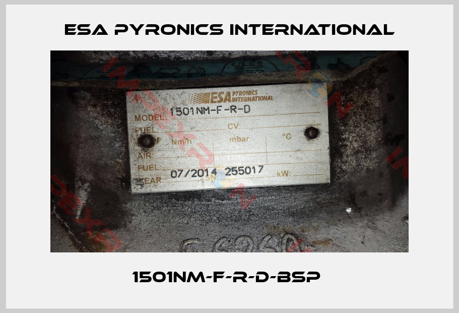 ESA Pyronics International-1501NM-F-R-D-BSP 