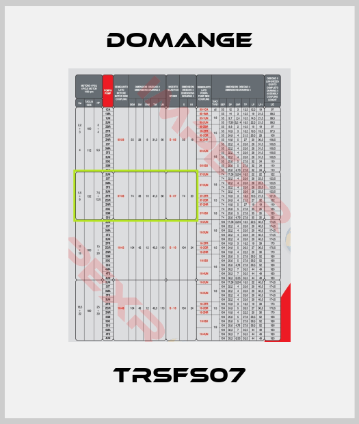 Domange-TRSFS07