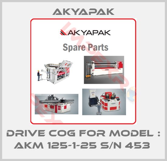 Akyapak-DRIVE COG FOR MODEL : AKM 125-1-25 S/N 453 