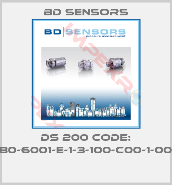 Bd Sensors-DS 200 CODE: 780-6001-E-1-3-100-C00-1-000 