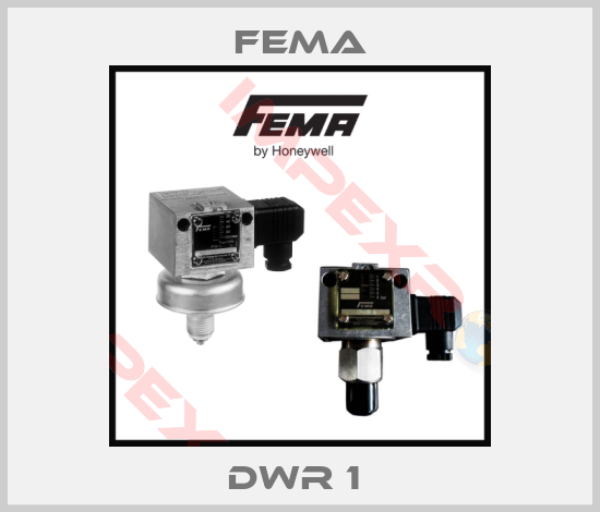 FEMA-DWR 1 