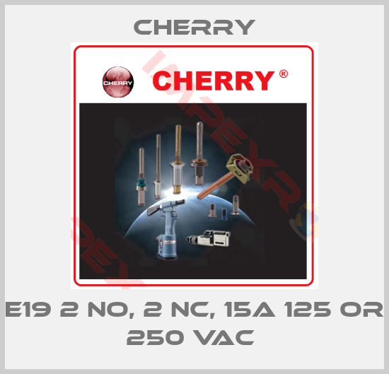 Cherry-E19 2 NO, 2 NC, 15A 125 OR 250 VAC 