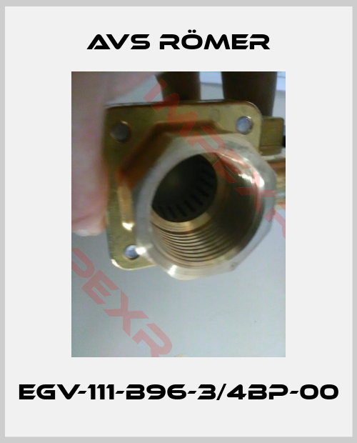 Avs Römer-EGV-111-B96-3/4BP-00