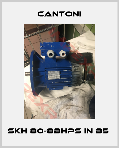 Cantoni-SKh 80-8BHPS in B5 