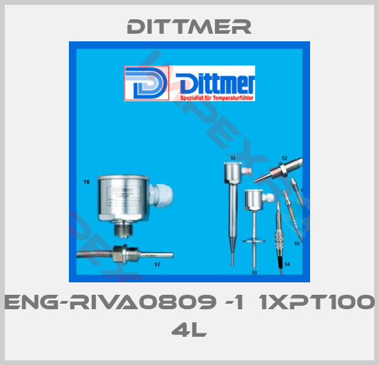 Dittmer-ENG-RIVA0809 -1  1XPT100 4L