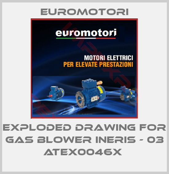 Euromotori-EXPLODED DRAWING FOR GAS BLOWER INERIS - 03 ATEX0046X 
