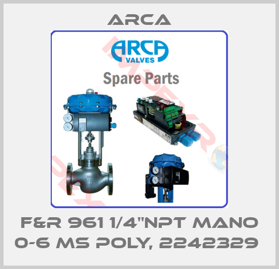 ARCA-F&R 961 1/4"NPT Mano 0-6 MS Poly, 2242329 