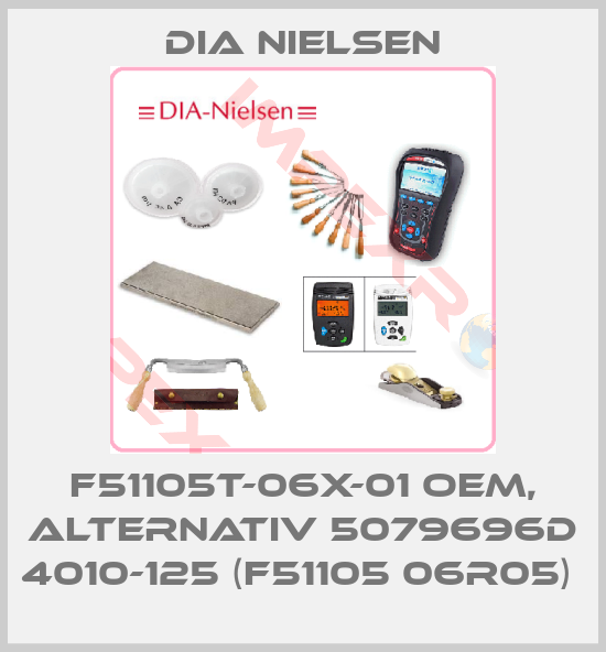 Dia Nielsen-F51105T-06X-01 OEM, alternativ 5079696D 4010-125 (F51105 06R05) 
