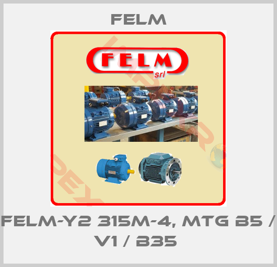 Felm-FELM-Y2 315M-4, MTG B5 / V1 / B35 
