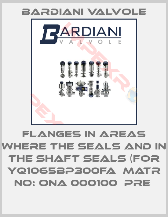 Bardiani Valvole-FLANGES IN AREAS WHERE THE SEALS AND IN THE SHAFT SEALS (FOR YQ1065BP300FA  MATR NO: ONA 000100  PRE 