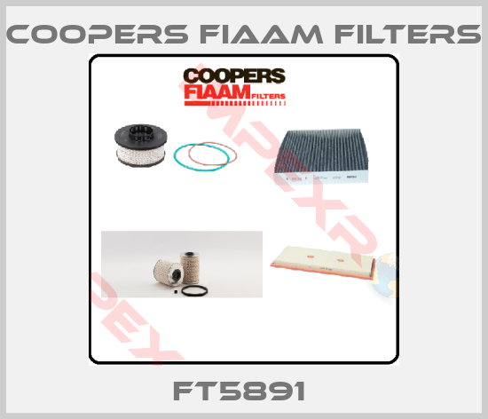 Coopers Fiaam Filters-FT5891 