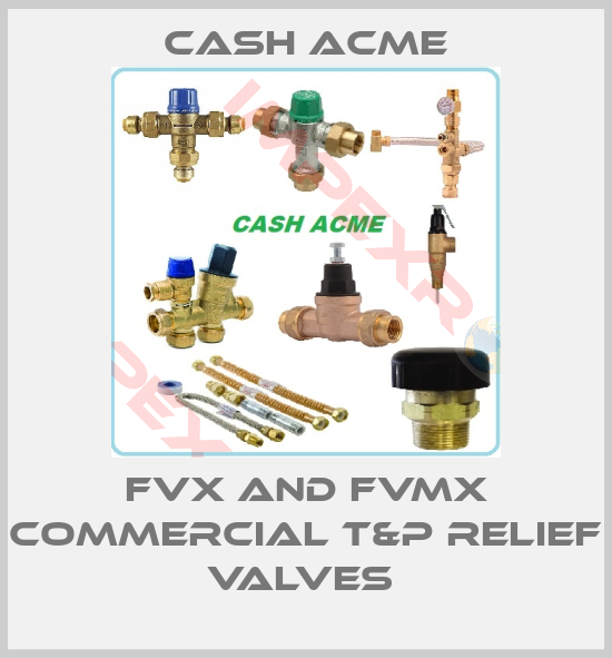 Cash Acme-FVX AND FVMX COMMERCIAL T&P RELIEF VALVES 