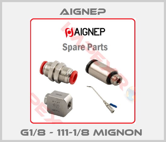 Aignep-G1/8 - 111-1/8 MIGNON 