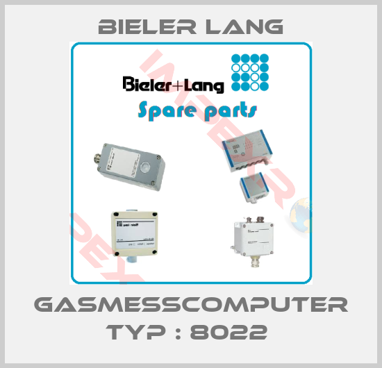 Bieler Lang-Gasmesscomputer Typ : 8022 