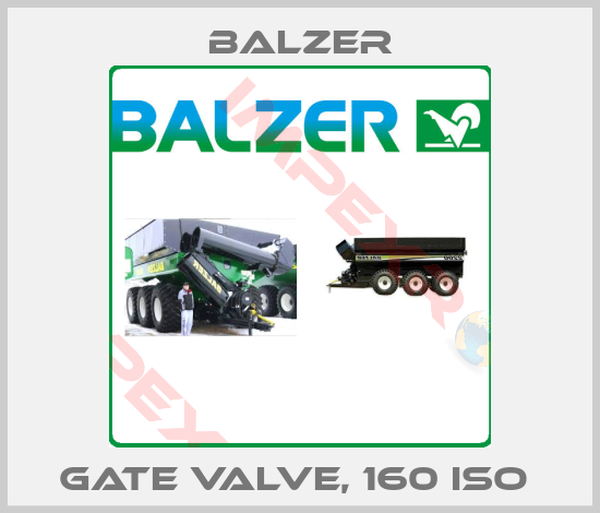 Balzer-GATE VALVE, 160 ISO 