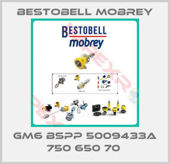 Bestobell Mobrey-GM6 BSPP 5009433A 750 650 70 