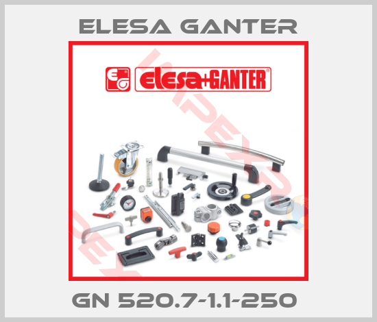 Elesa Ganter-GN 520.7-1.1-250 