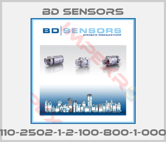 Bd Sensors-110-2502-1-2-100-800-1-000