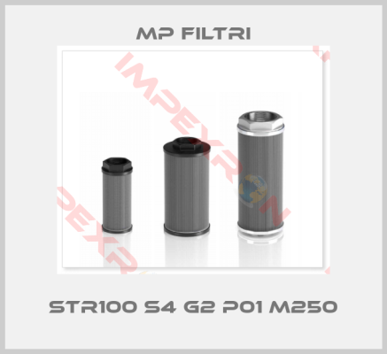 MP Filtri-STR100 S4 G2 P01 M250