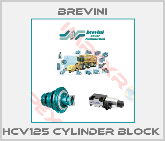 Brevini-HCV125 CYLINDER BLOCK 