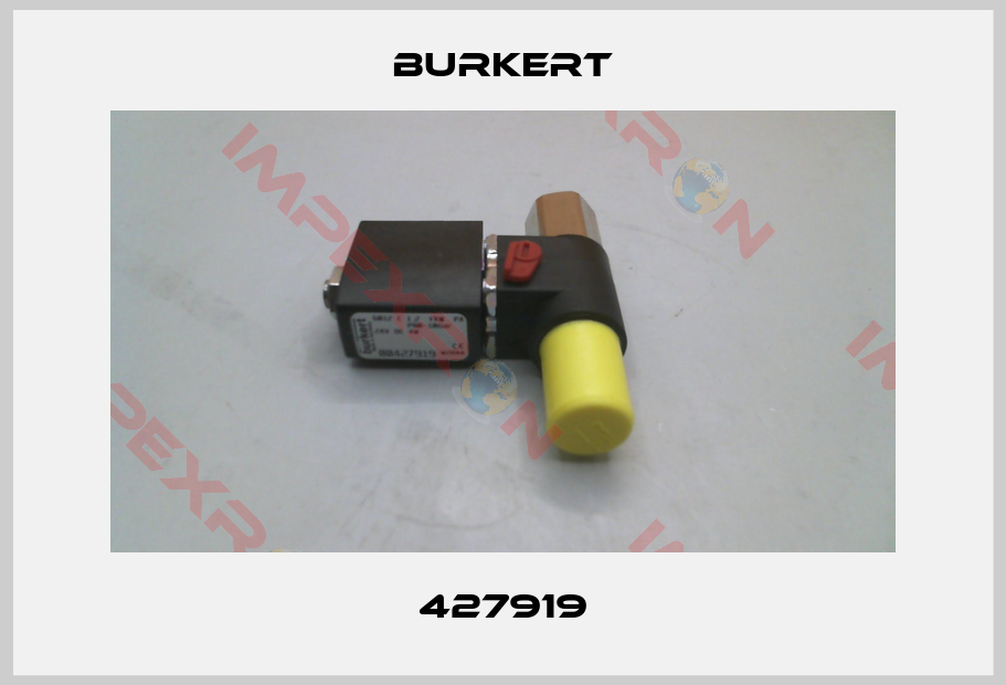 Burkert-427919