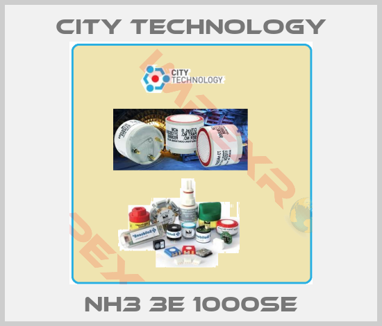 City Technology-NH3 3E 1000SE