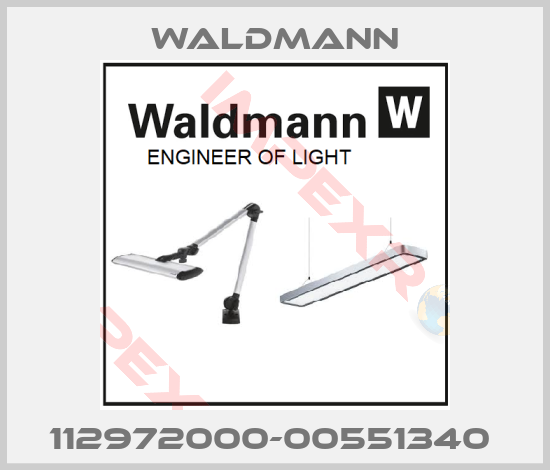 Waldmann-112972000-00551340 