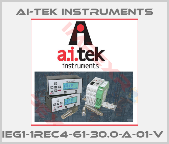 AI-Tek Instruments-IEG1-1REC4-61-30.0-A-01-V 