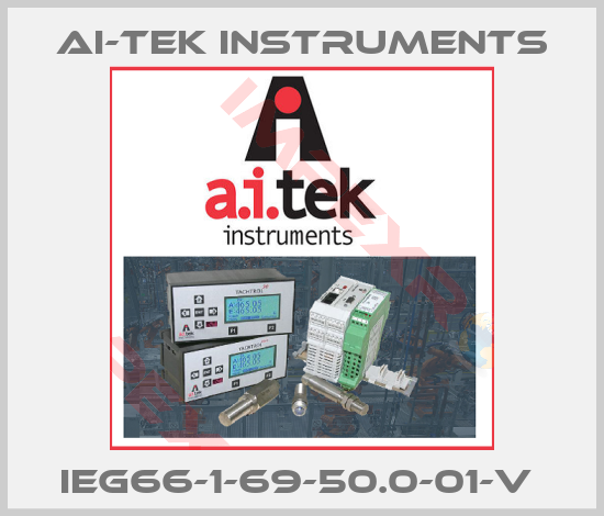 AI-Tek Instruments-IEG66-1-69-50.0-01-V 