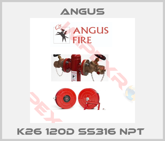 Angus-K26 120D SS316 NPT 