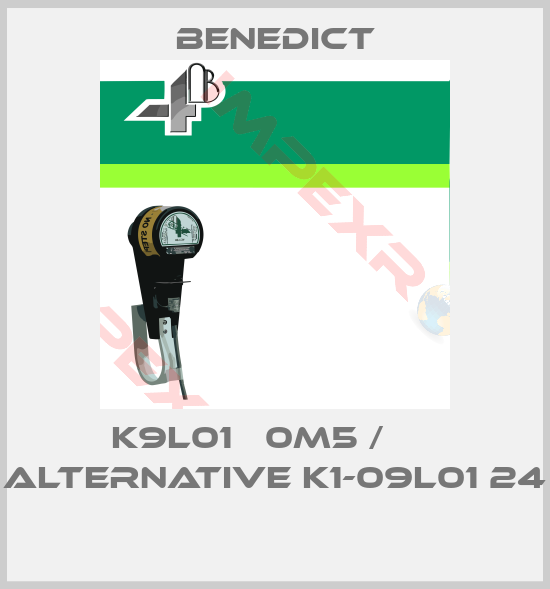 Benedict-K9L01   0M5 /      Alternative K1-09L01 24 