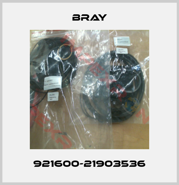 Bray-921600-21903536