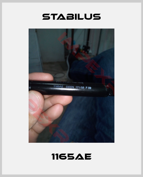 Stabilus-1165AE
