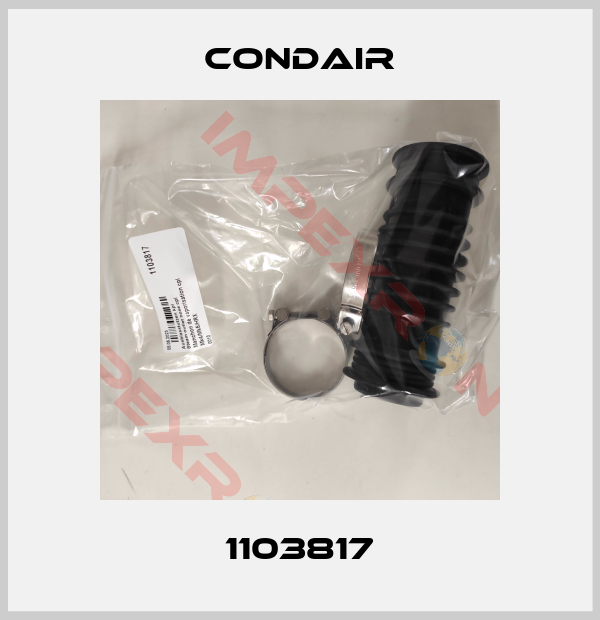Condair-1103817