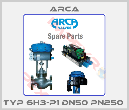 ARCA-Typ 6H3-P1 DN50 PN250 