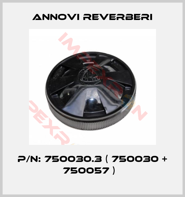 Annovi Reverberi-P/N: 750030.3 ( 750030 + 750057 )  