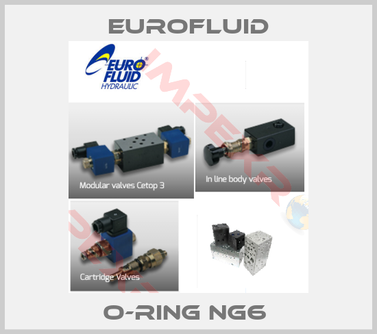 Eurofluid-O-Ring NG6 