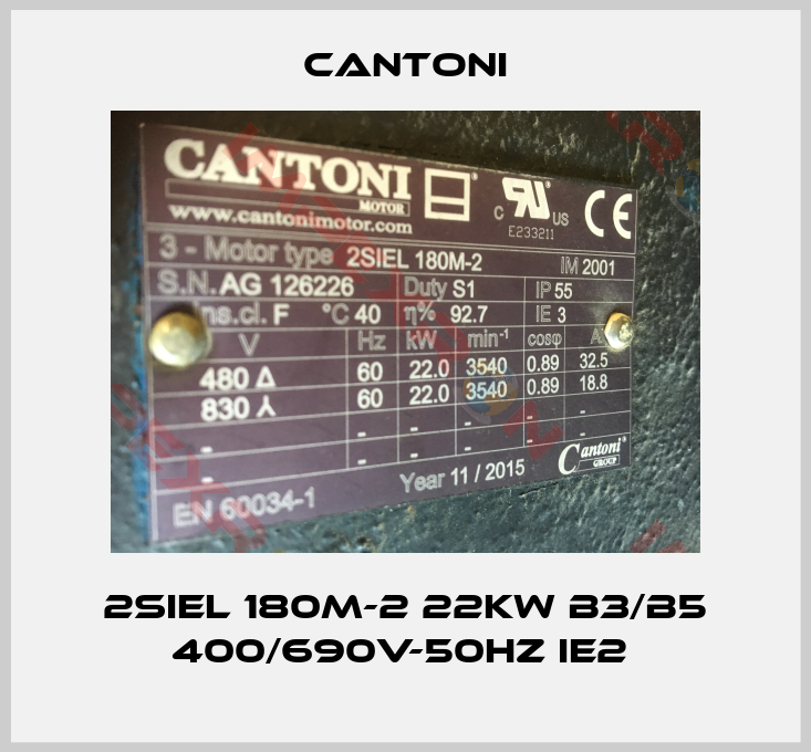 Cantoni-2SIEL 180M-2 22kW B3/B5 400/690V-50Hz IE2 