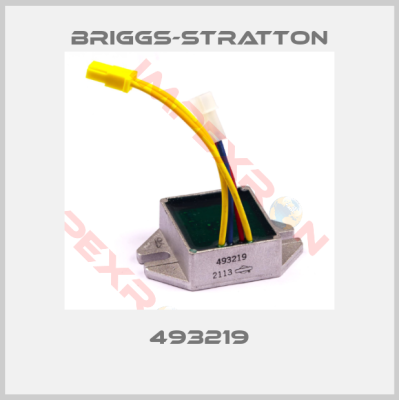 Briggs-Stratton-493219