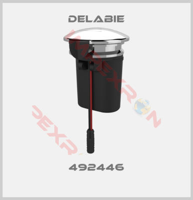 Delabie-492446