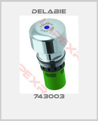 Delabie-743003